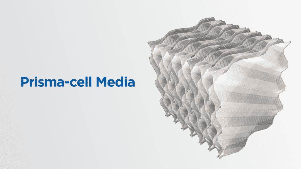 Bakteri pengurai bio septic tank ramah lingkungan